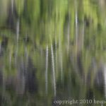 Copyright 2010 Brenda Johima