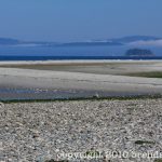 Copyright 2010 Brenda Johima