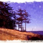 johima-denman-island