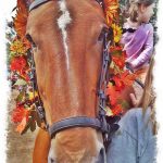 johima-denman-island-fall-fair