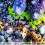 johima-rocky-beach