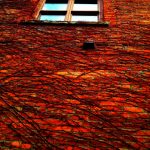Red Brick Wall iPhone Art