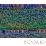 iPhone Photo of reflection of fence in ditch